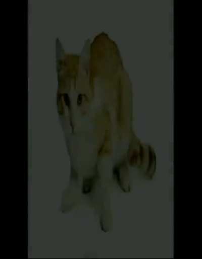 cqt jumpsacre