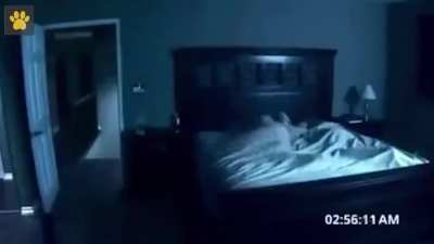 The secret of the paranormal phenomenon is revealed...