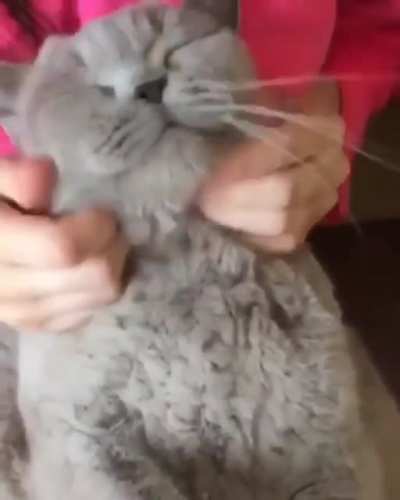 Fluffy chonker