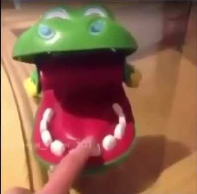 The crocodile’s dead