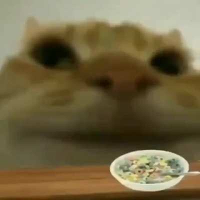 Yum Yum