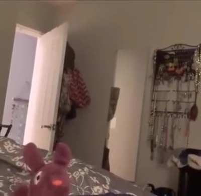 Super doggie