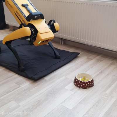 What does a robot dog eat?