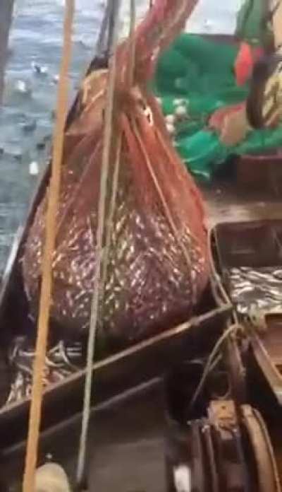 Unexpected catch