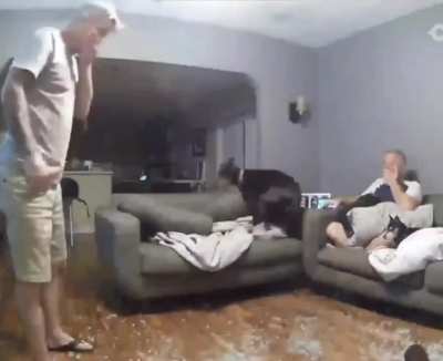 Doggo did a flip