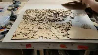 I make topographic Wood Maps. Made one of Sydney Harbor. Hand assembled, Laser cut, 7 layers of 1/8