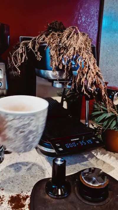 Getting used to my Sage and and r/expresso