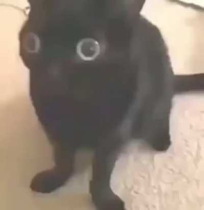 Slap Slap Slap