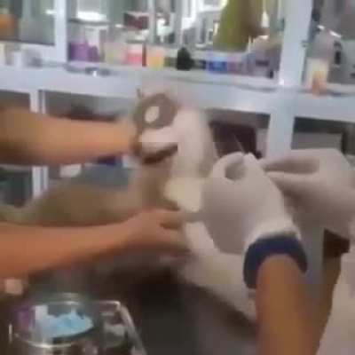 a