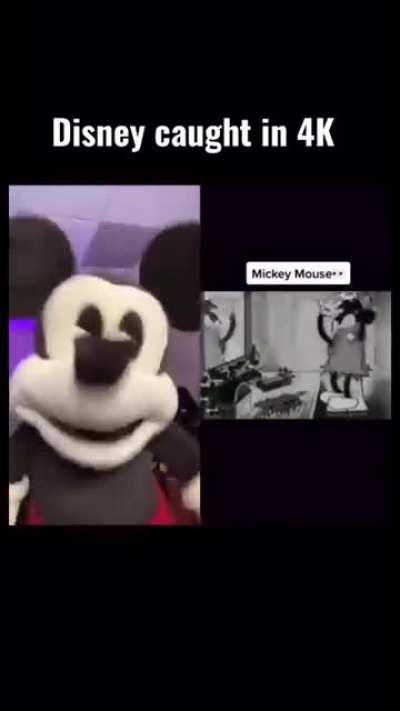 Disney Moving Mad