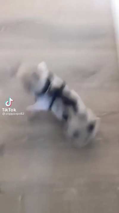 Hey!