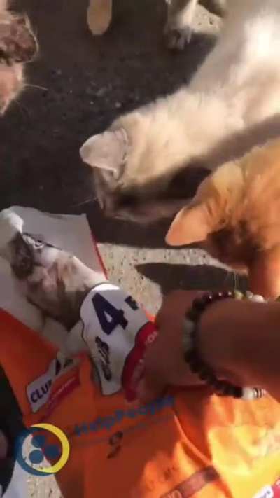 Our drivers always feed stray animals during evacuation trips, Don't abandon your pets, they would never abandon you. TYSM and help us to evacuate more people and their pets, become a Patron