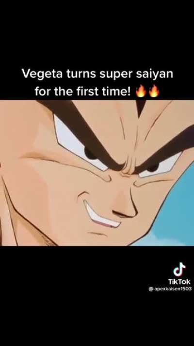 “Oh my heart is EXCEPTIONALLY pure. Pure evil to the core.” Say what you wanted about Vegeta, he has the best lines in the whole series.