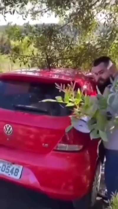 A great talent