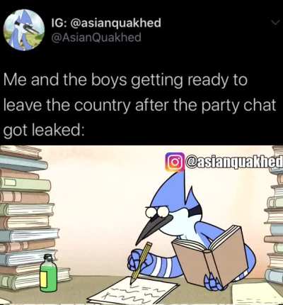 What would you do if your party chat got leaked?