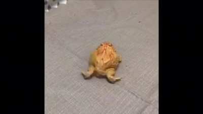 falout boy