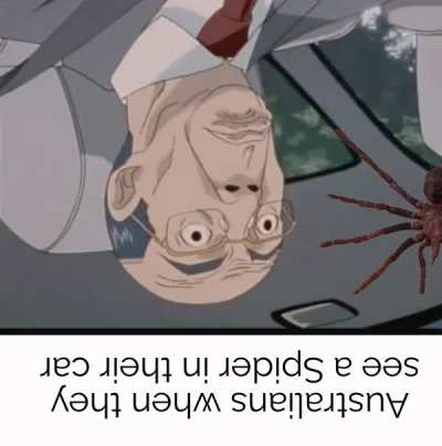 *pǝɥsɐɹƆ ɹɐƆ*