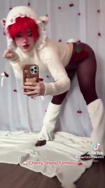 Cherry Sheep Femboy