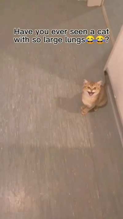 @aaaaaaaah