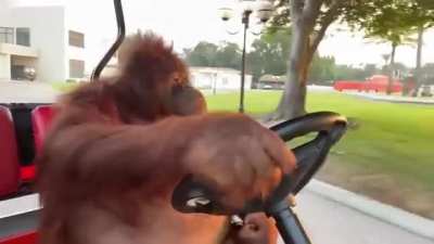 You may flex with your Lambo...I'm laxxin like this