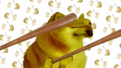 Bonkception