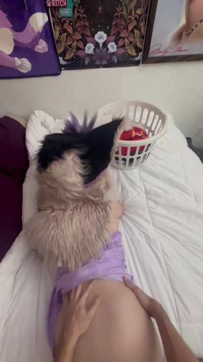 POV: Punishing Furry Gf For Not Doing Her Chores While I was At Work