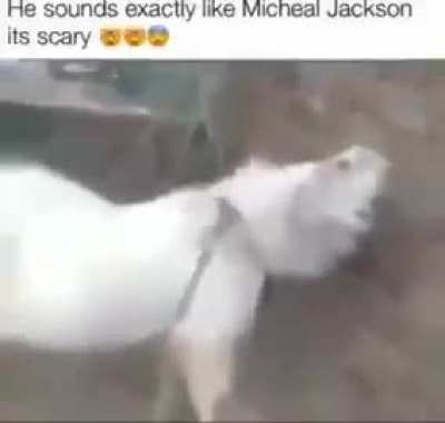 how