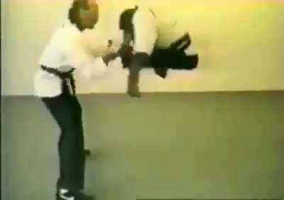 Monkey Karate