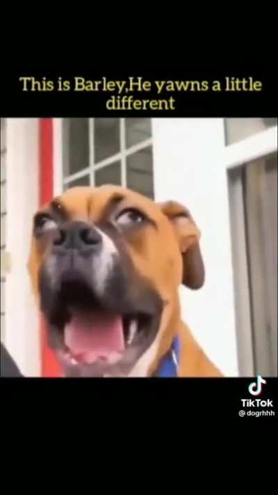 Ultimate Ahegao