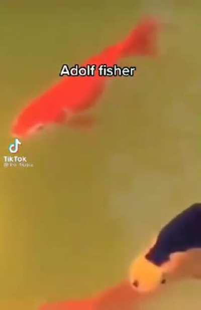 Hmm