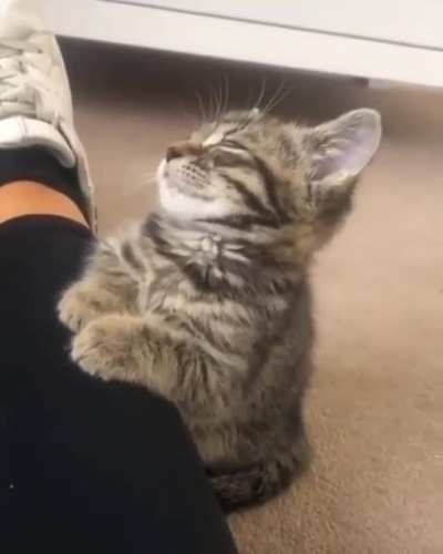 I am so sleepy