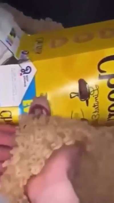 cursed_feeding_time