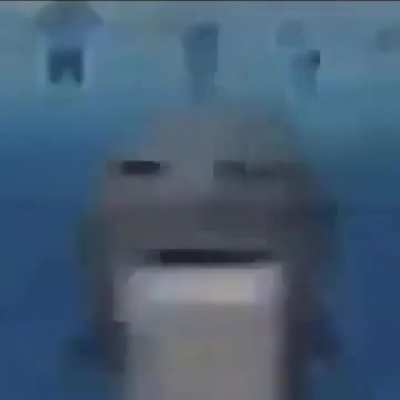 Rawr :3