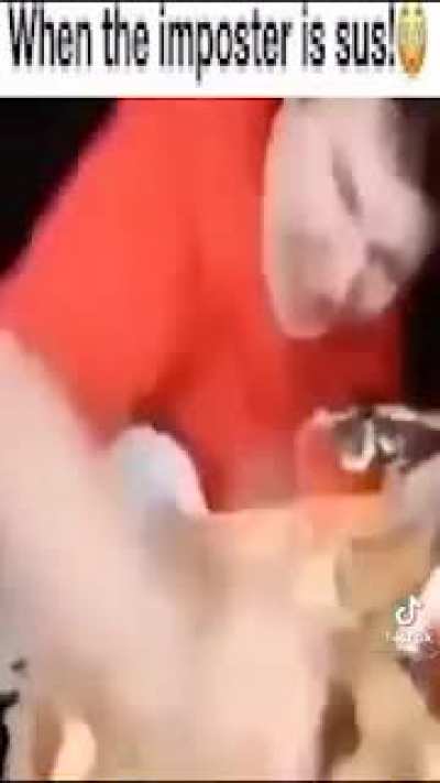 Bongo wongo