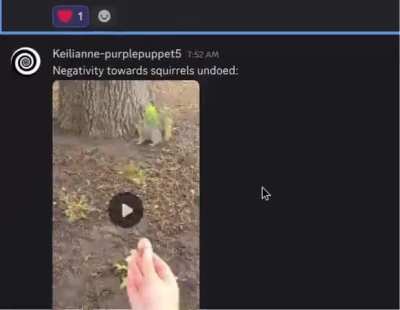 Squirrel discourse