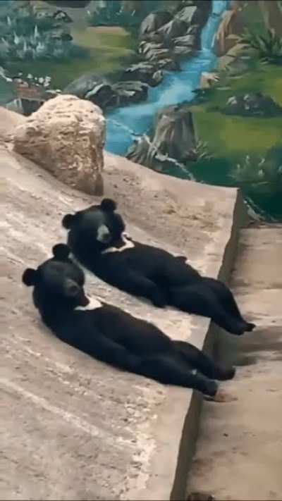 Sup?