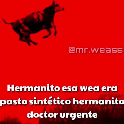 Médico