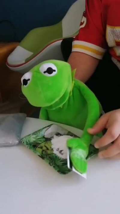 I tried my best when cutting but what's essential here is that I've discovered I can make a really weird scream if my hand's inside Kermit's THICC ass