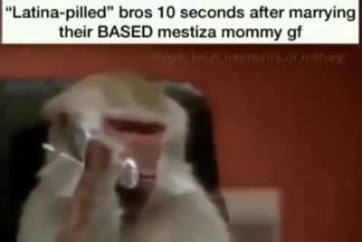 Based monke
