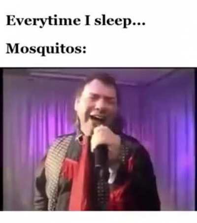 În fiecare vară