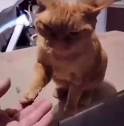 “SAM!”