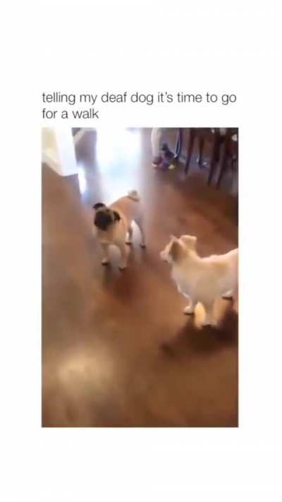 Time for a walk