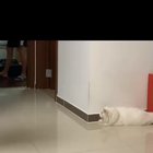 Surprise attack
