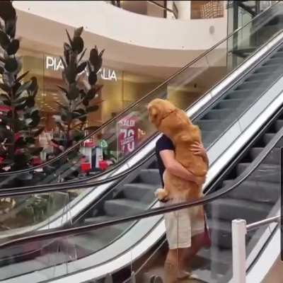 Pls hooman help