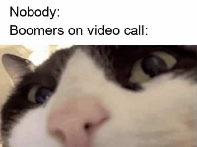 Can you hear me?