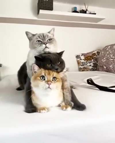 It’s time for photo shoot