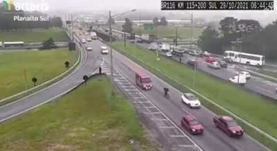 Parrot (A. aestiva) appears looking at road camera in Paraná, Brazil