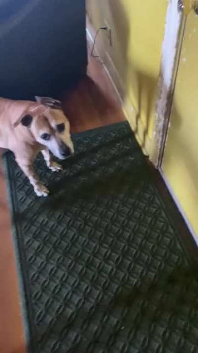 She’s just really excited to go on a walk