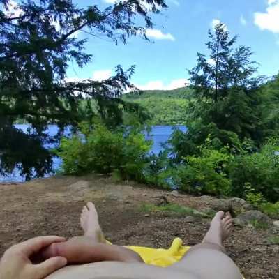 Cock with a View