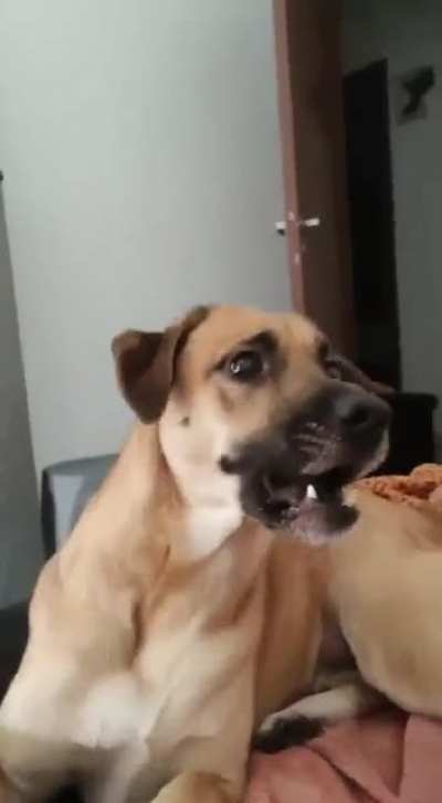 she's okay (and derpy)